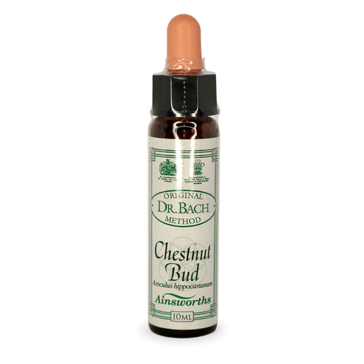 [25054026] Ainsworths Bach Chestnut Bud