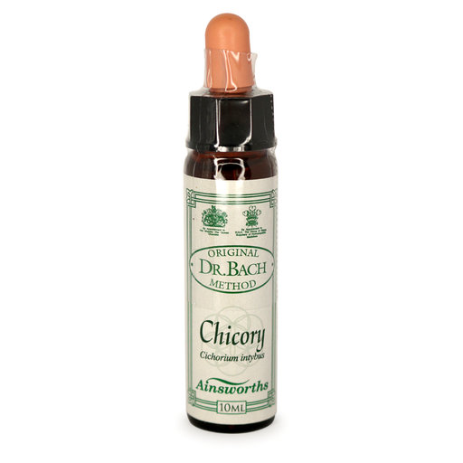 [25054033] Ainsworths Bach Chicory