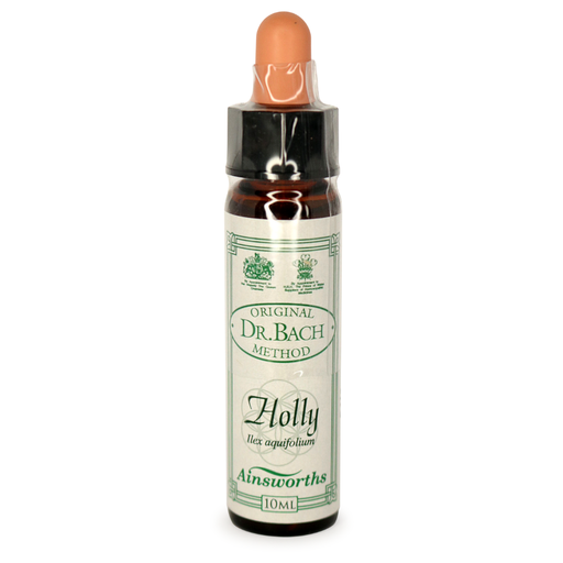 [25054118] Ainsworths Bach Holly