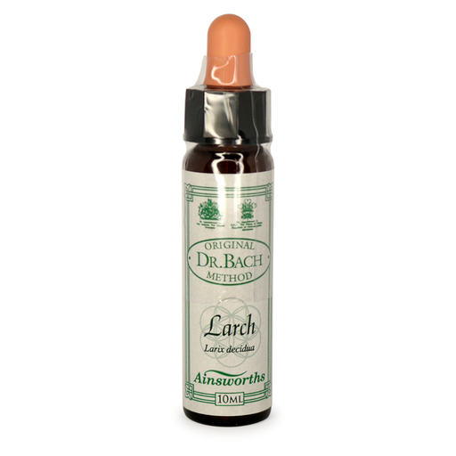 [25054156] Ainsworths Bach Larch