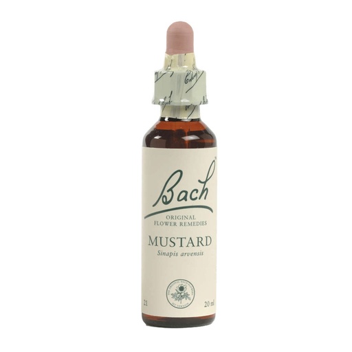 [25054170] Bach Flower Mustard